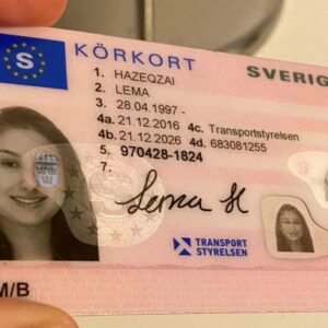Swedish Driver License