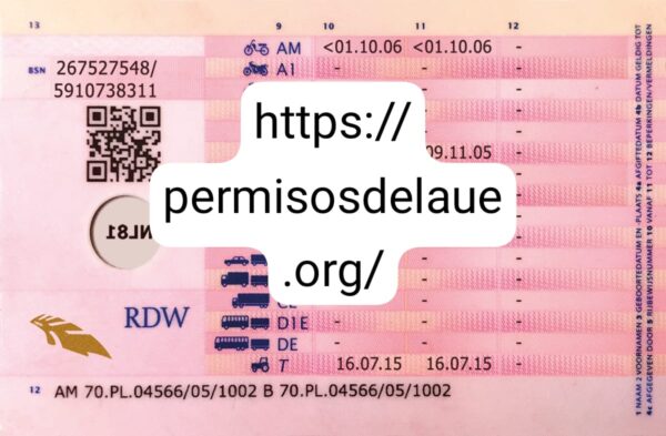 Obtain Dutch driver license - Image 2