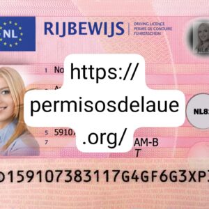 Obtain Dutch driver license