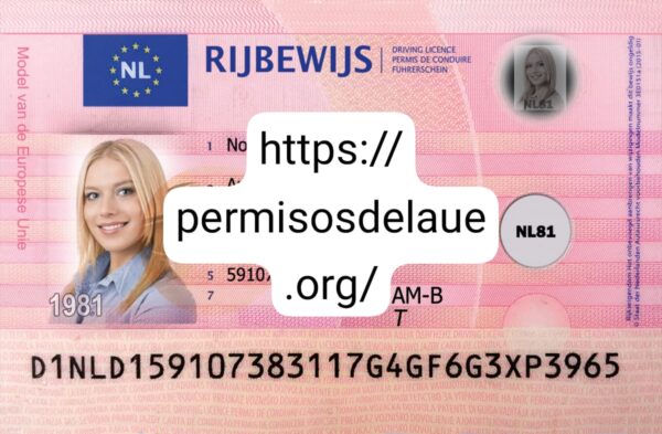 Obtain Dutch driver license
