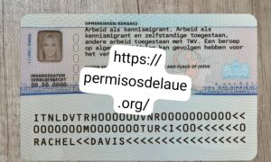 Dutch Residence permit