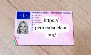Italian driver license