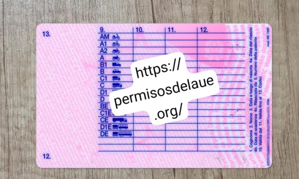 Italian driver license - Image 2