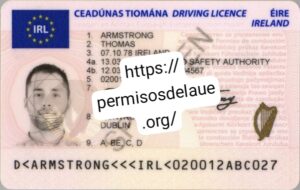 Irish driver license