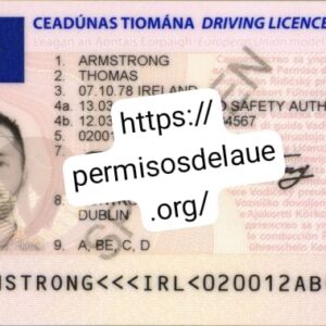 Irish driver license