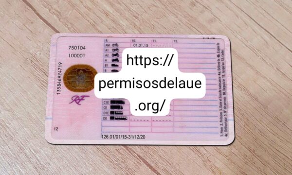 French driver license - Image 2
