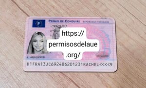 French driver license