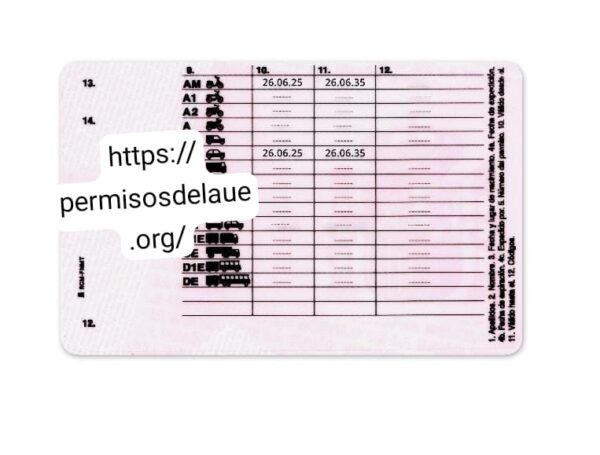 Spanish Driver License - Image 2