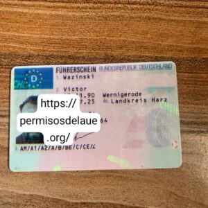 German driver license