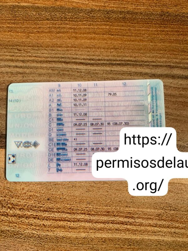 German driver license - Image 2