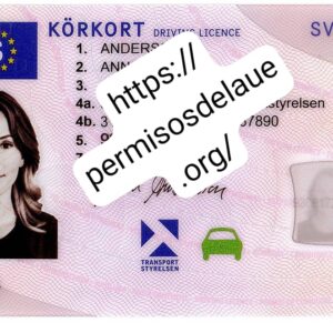 Swedish Driver License