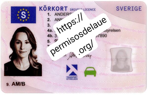 Swedish Driver License