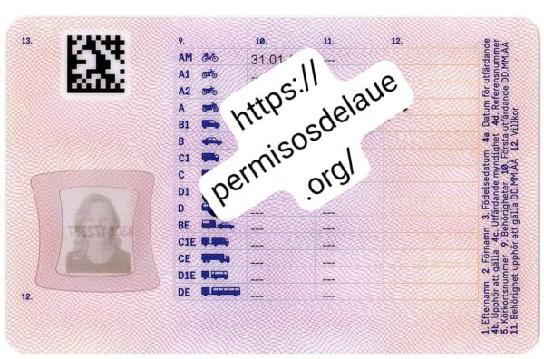 Swedish Driver License - Image 2